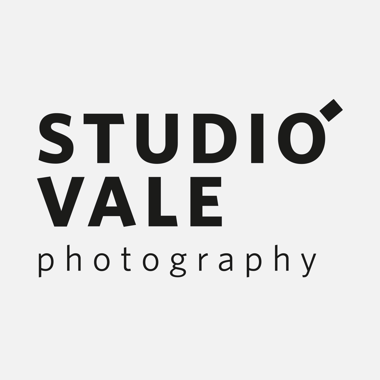 Studio Vale Photography Logo Design